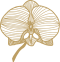 Handdrawn_Icons_Orchid_Experts.png