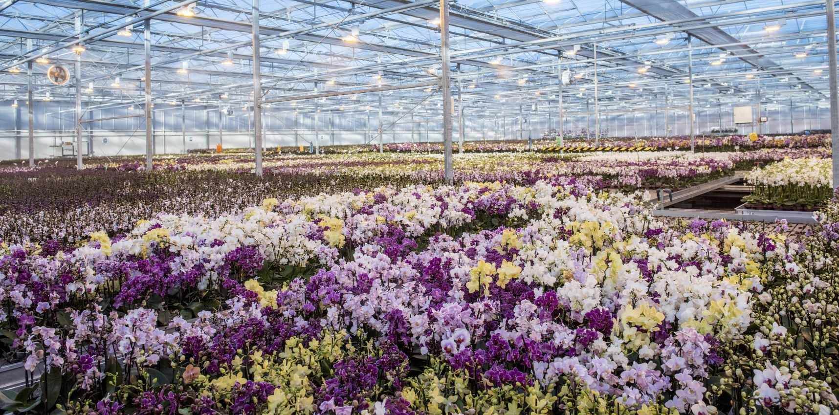 nursery_croped.jpg