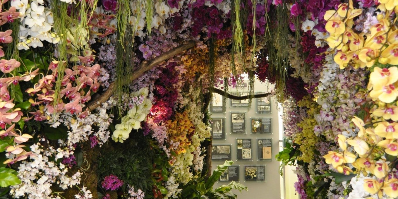 A Golden Debut: Reflecting on Our 2016 Chelsea Flower Show Triumph - Love Orchids
