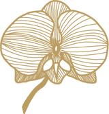Handdrawn_Icons_Orchid_Experts.png