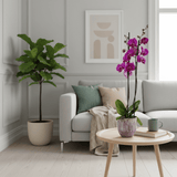 Barton: Large Orchid in Ceramic