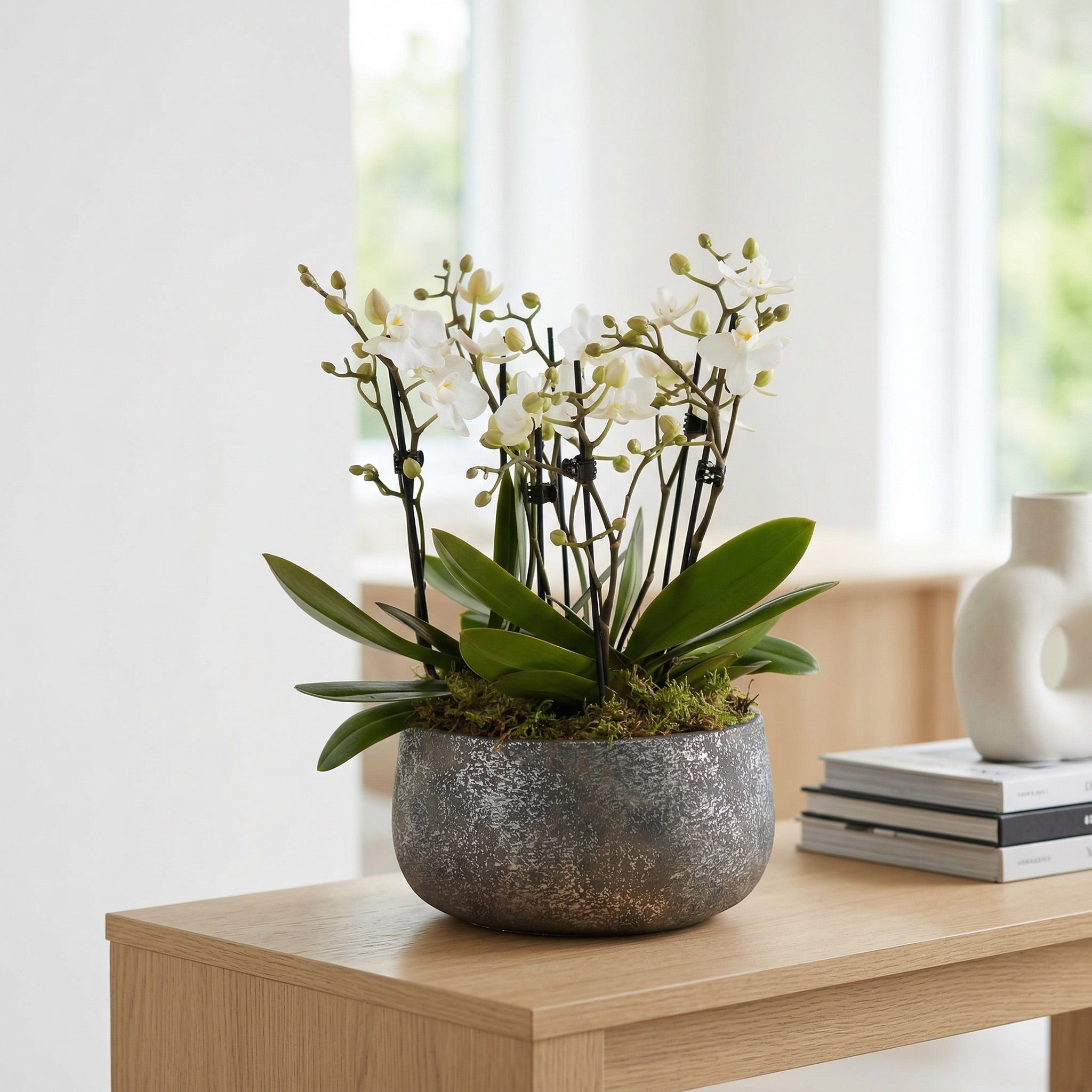 Brockenhurst: Deluxe Orchid Planter - Love Orchids