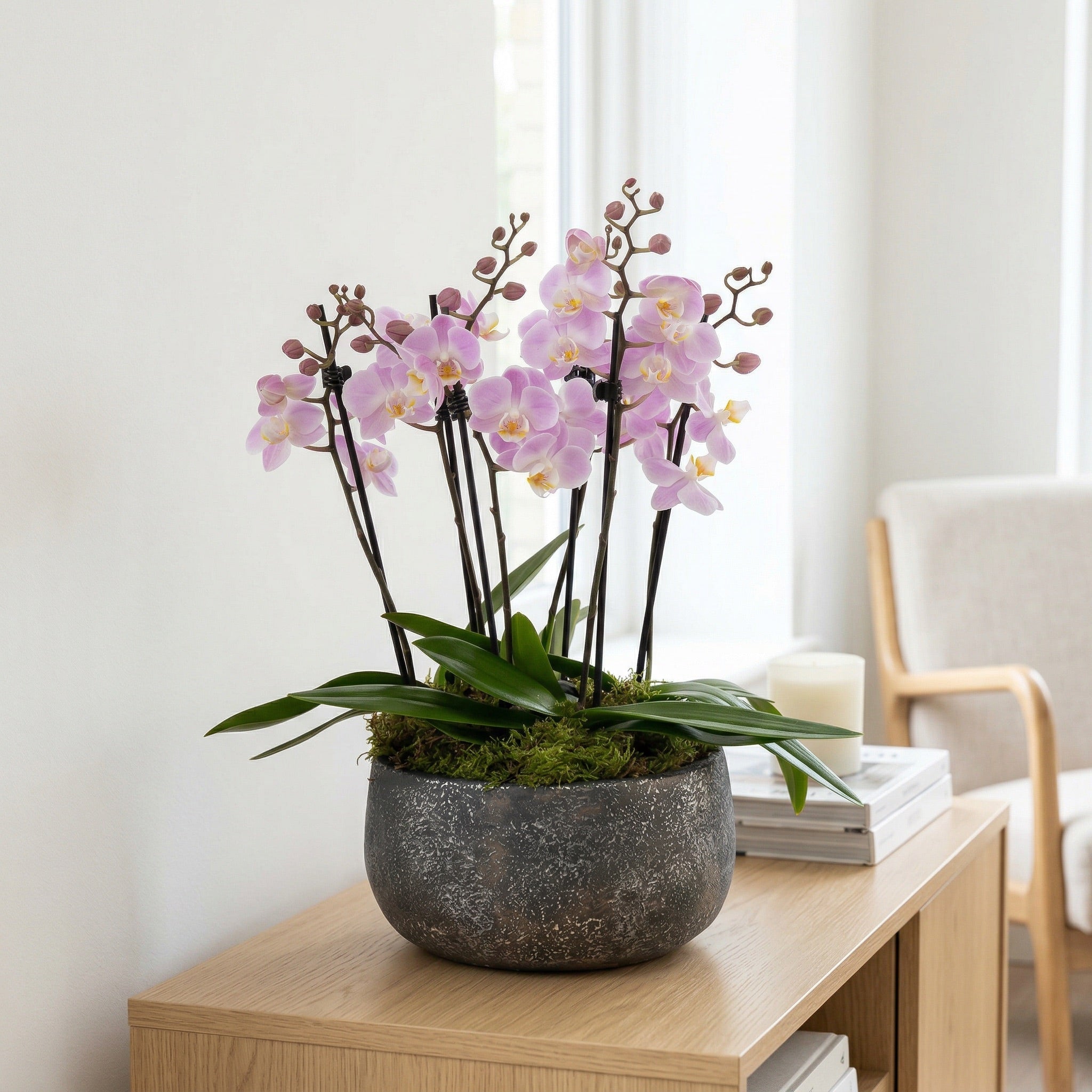 Brockenhurst: Deluxe Orchid Planter - Love Orchids