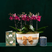 Christmas Chewton Chamonix Gift Set - Love Orchids