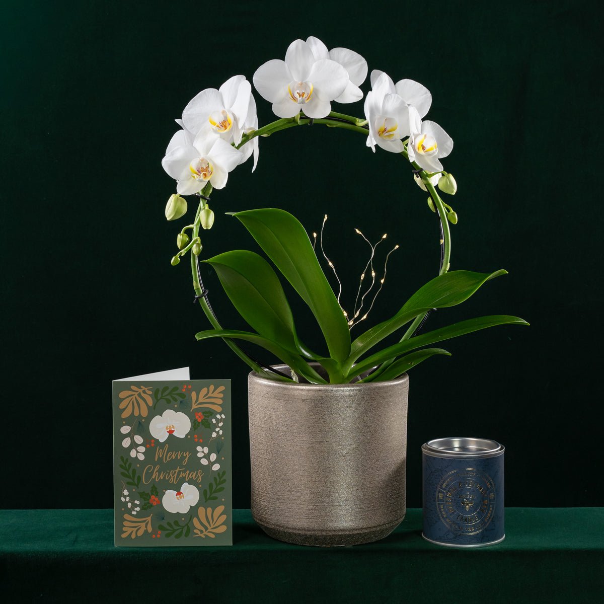 Christmas Wreath Gift Set - Love Orchids