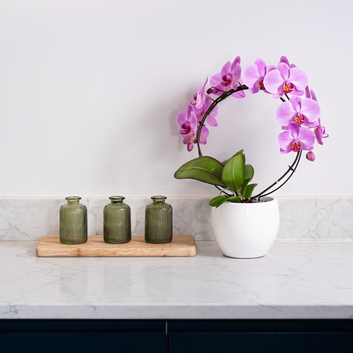 Downton: Large Hoop Orchid - Love Orchids