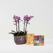 Mother's Day Milford Gift Set - Love Orchids