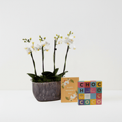 Mother's Day Milford Gift Set - Love Orchids