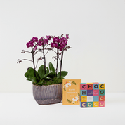 Mother's Day Milford Gift Set - Love Orchids