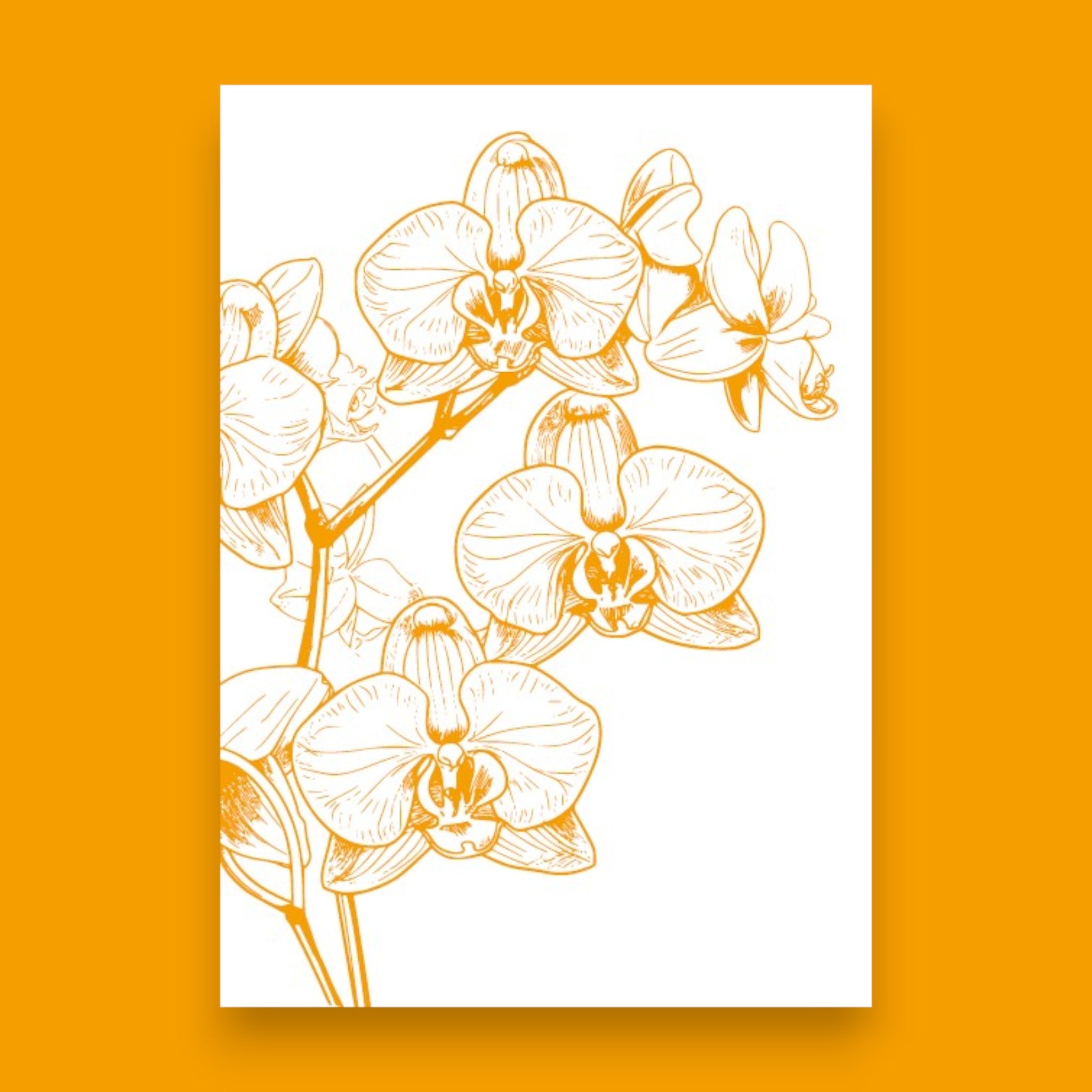 Personalised Greetings Card - Love Orchids