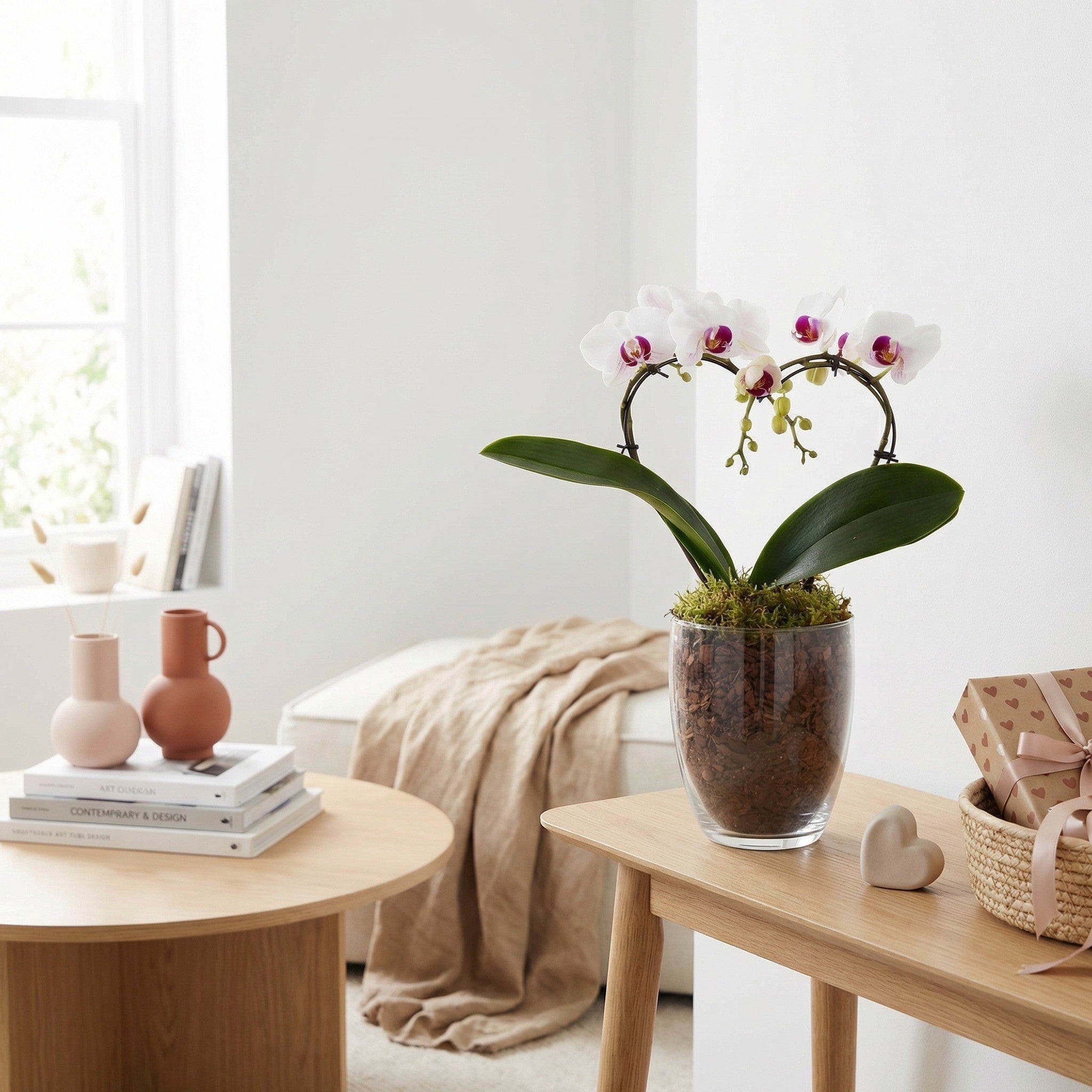 Sweet Heart Mini Orchid - Love Orchids