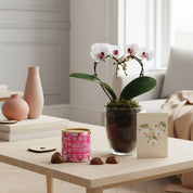 Sweet Heart Orchid Gift Set - Love Orchids