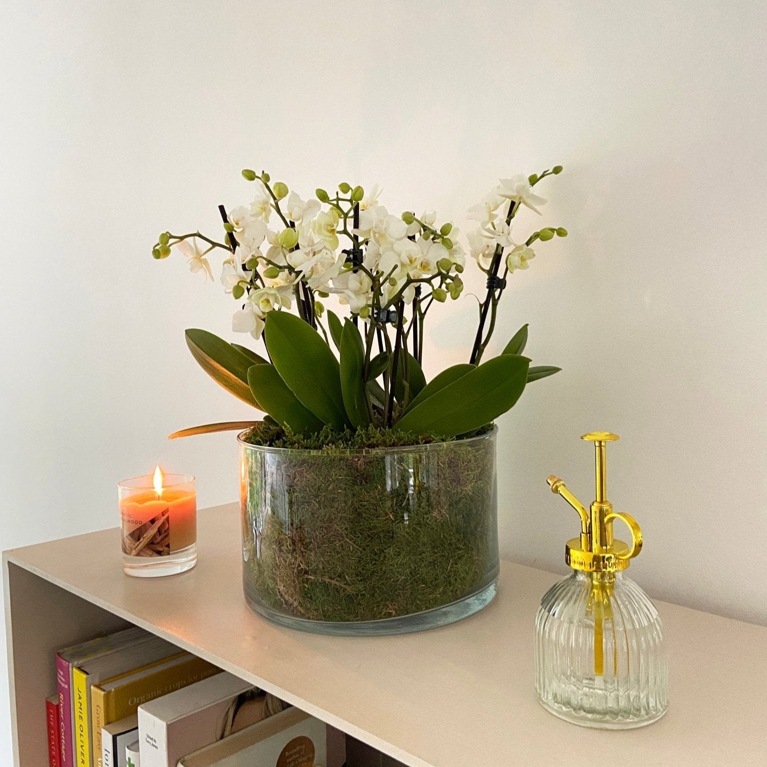 Blissford: Deluxe Orchid Centrepiece - Love Orchids