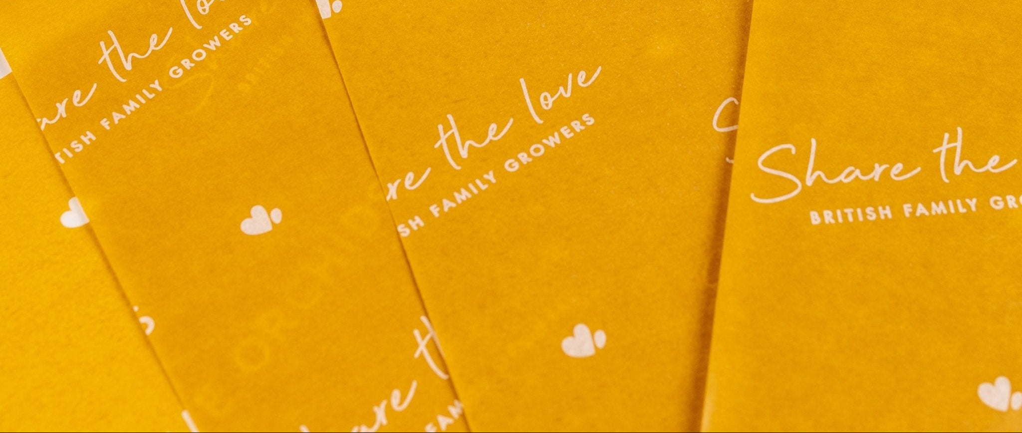 Gift Wrapping - Love Orchids
