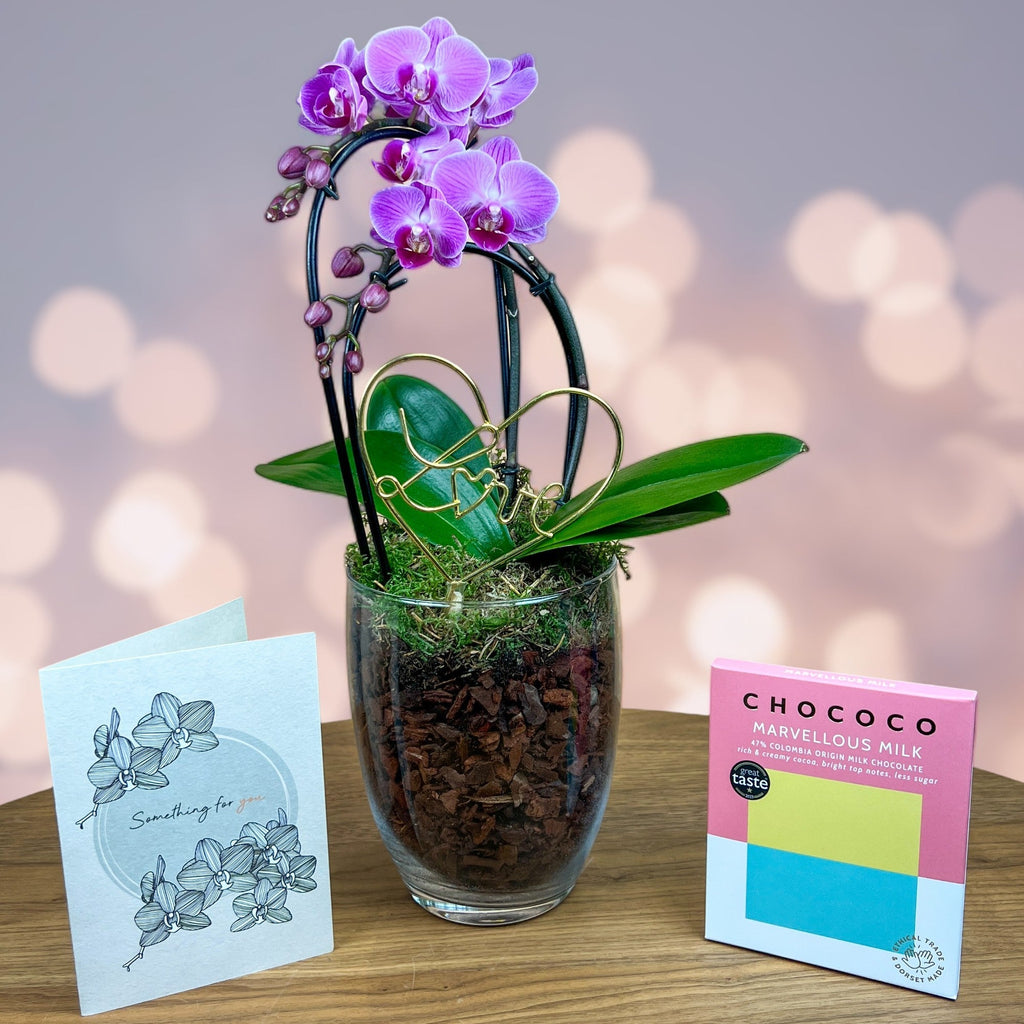 Hinton Gift Set - Love Orchids