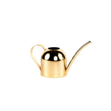 Premium Gold Watering Can