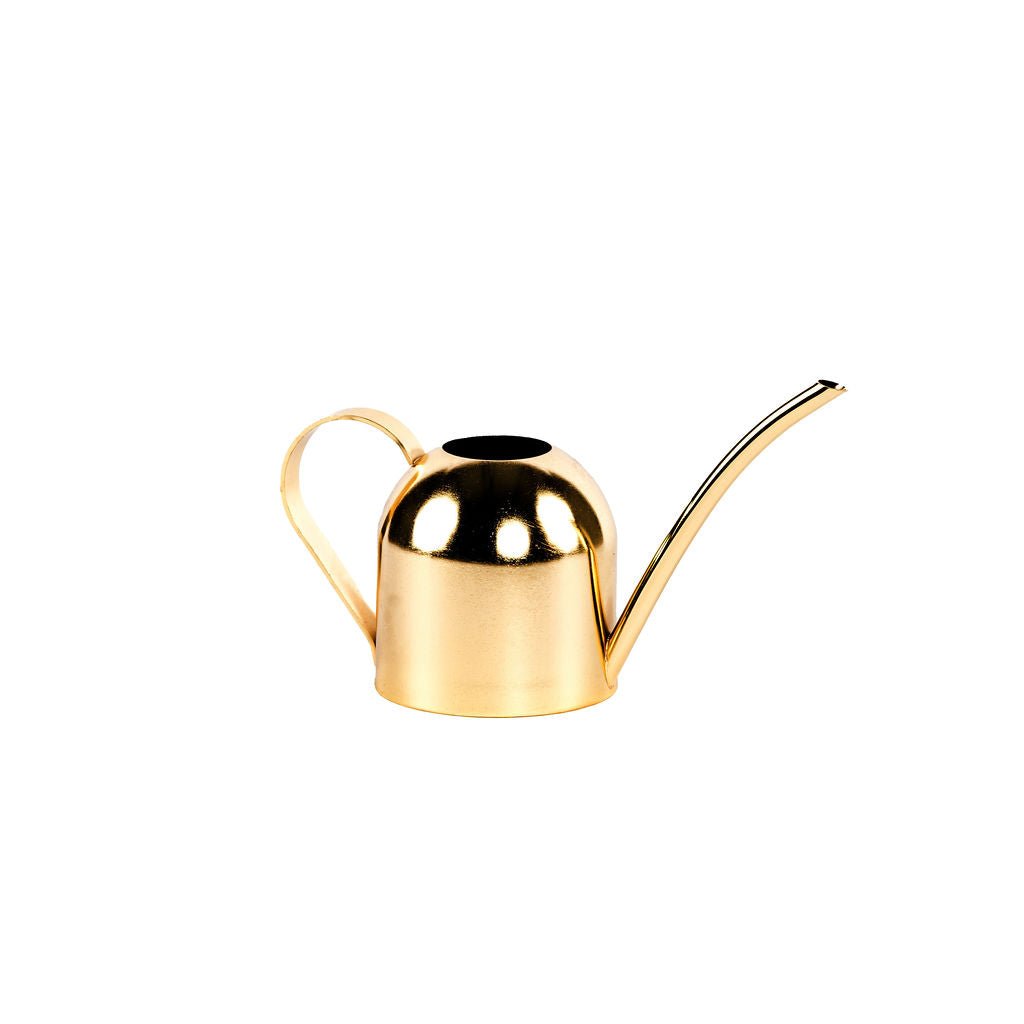 Premium Gold Watering Can - Love Orchids